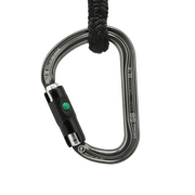 Petzl William Ball Lock Carabiner