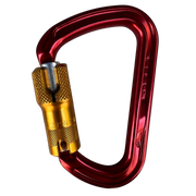 DMM Klettersteig Locksafe Carabiner